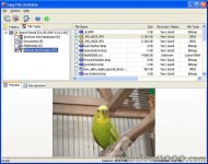 Easy FAT File Undelete screenshot